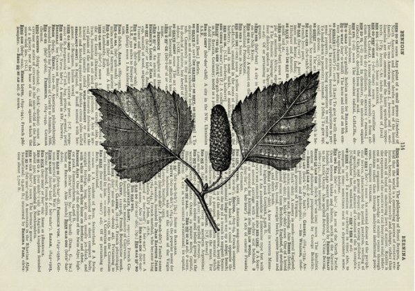 Аппликация из газет и журналов