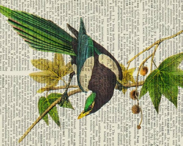 Рисунки на газетных листах