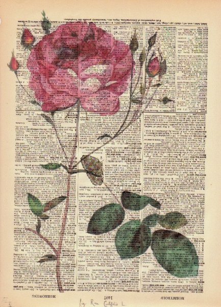 Рисунок из газет велосипед