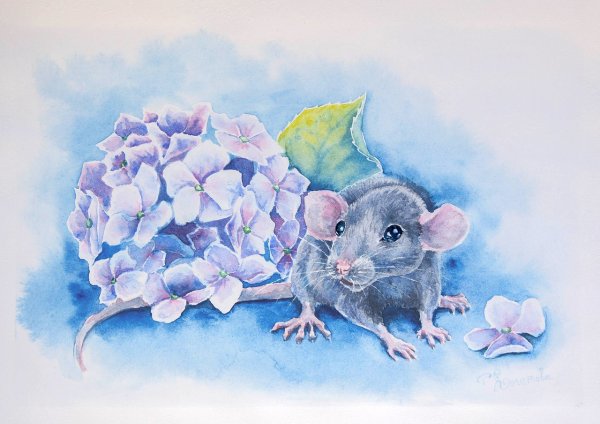 Мышь акварелью