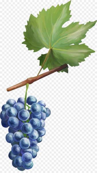 Виноград Графика