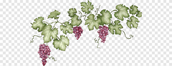 Ветка винограда орнамент