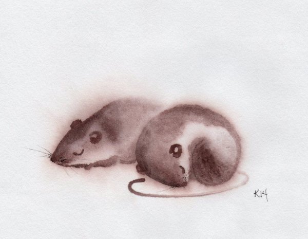 Мышь рисунок акварелью