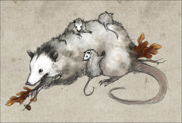 Опоссум Art