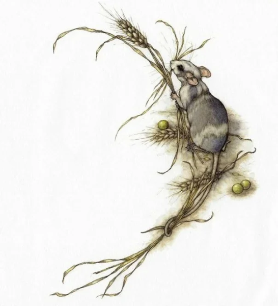 Крыса акварелью