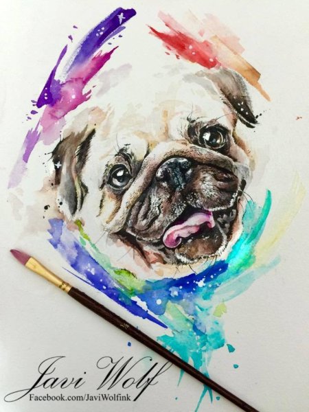 Мопс рисунок акварель