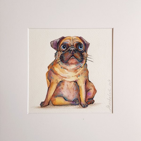 Мопс акварелью