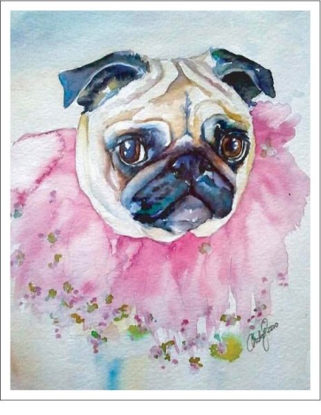 Мопс цветными карандашами
