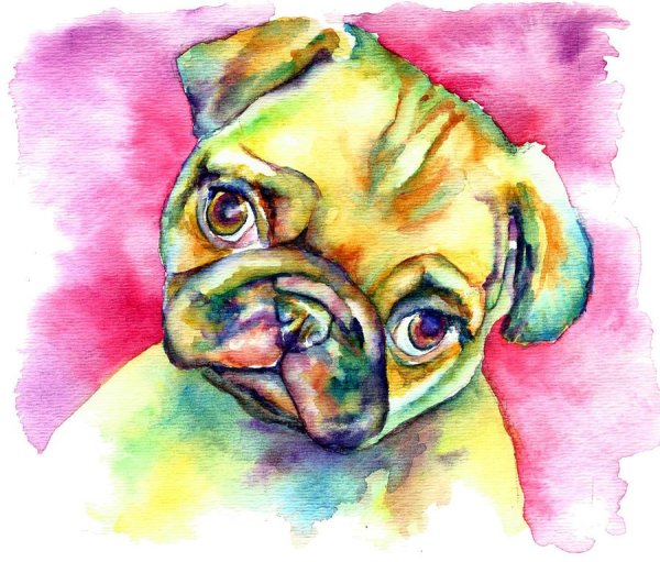 Энди Уорхол с мопсом