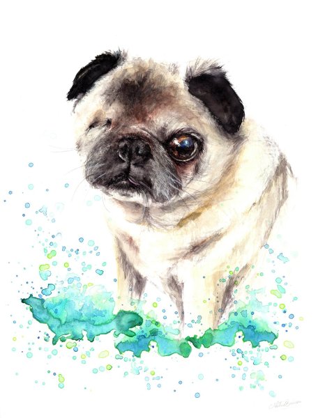 Акварельный Мопс