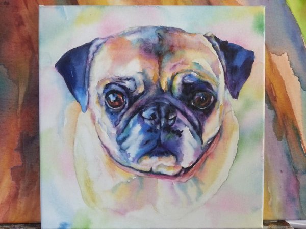 Скетчинг Мопс