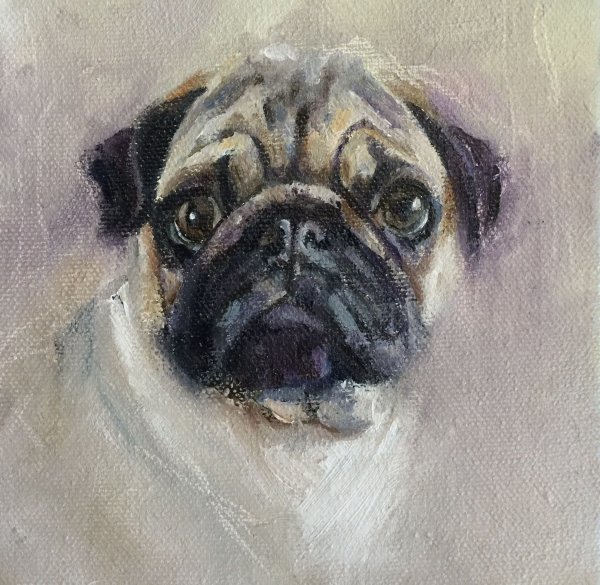 Мопс живопись