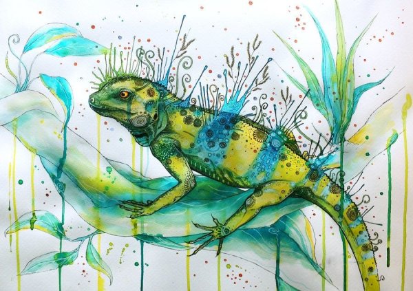 Ящерица акварель