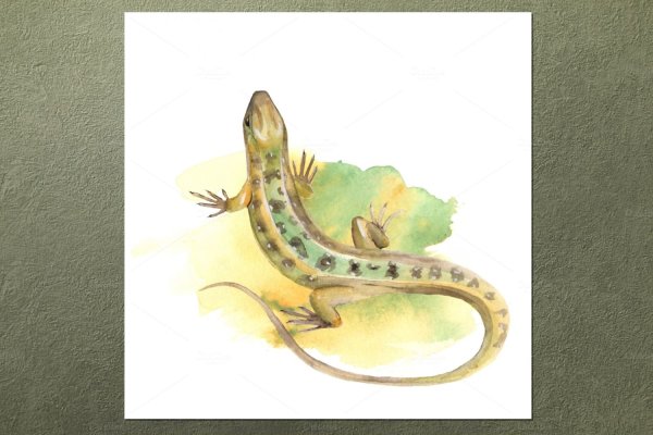 Ящерка рисунок акварелью