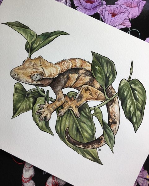 Эскизы тату рептилии