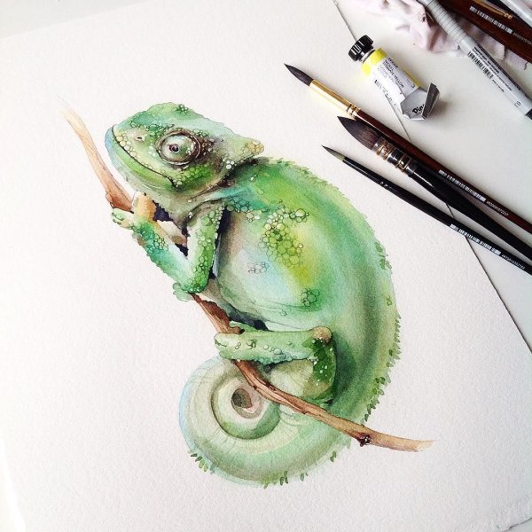 Хамелеон акварель