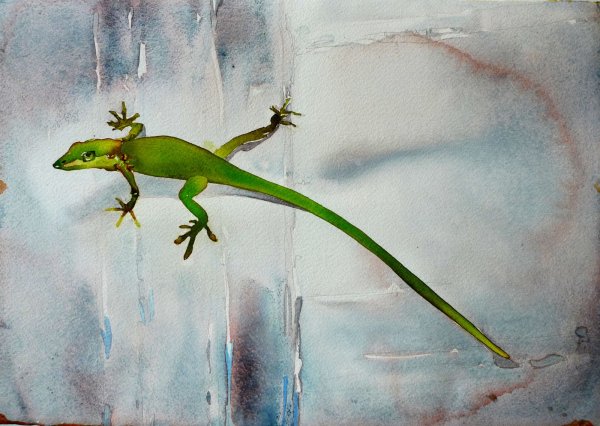 Ящерица акварель