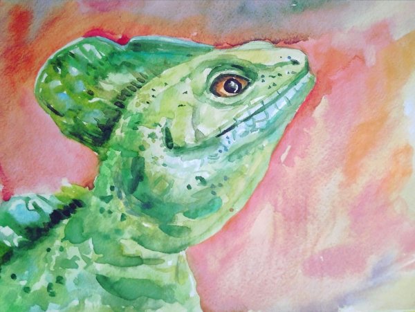 Ящерица гуашью