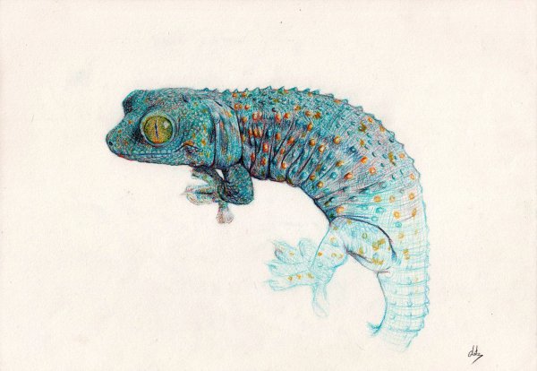 Рептилии акварель