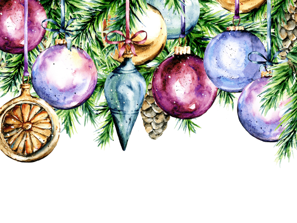 Ветка елки акварель