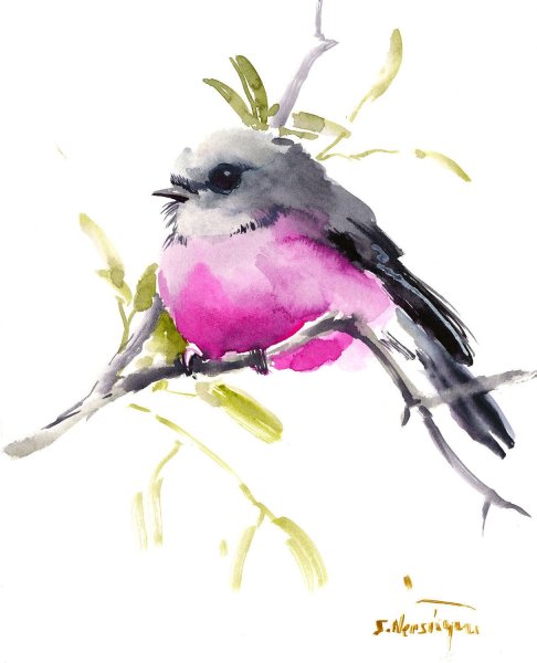 Птицы акварелью