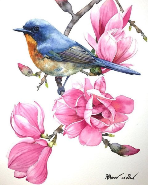 Kitipong_Maksin_ птицы