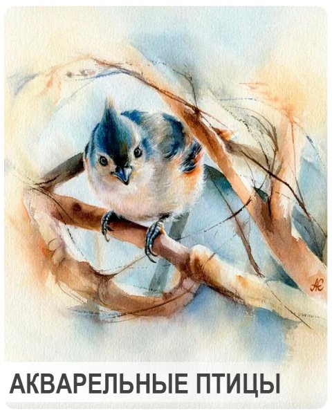 Акварели птицы художницы Альбины статных