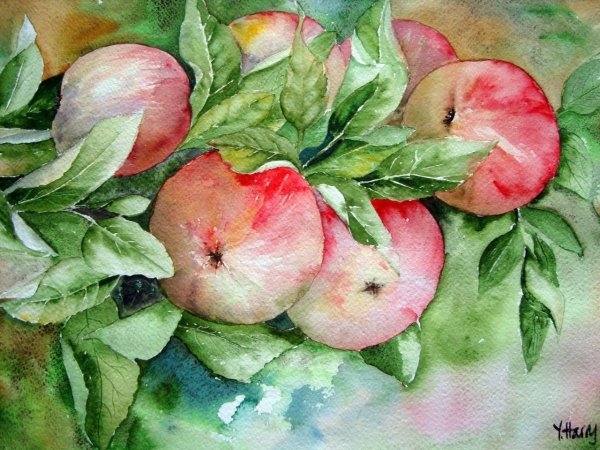 Художник Yvonne Harry