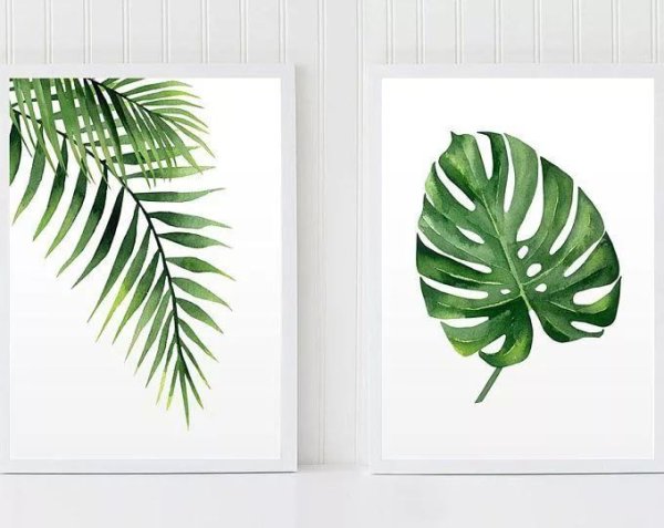 Пальмовые листья акварель