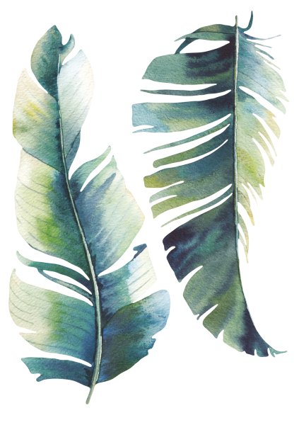 Листья пальмы акварель