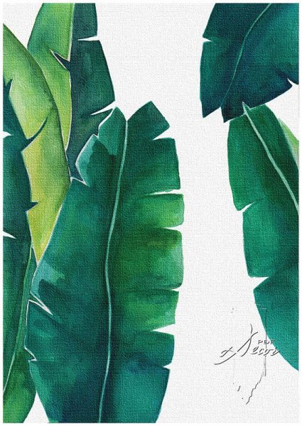 Пальмовые листья акварель