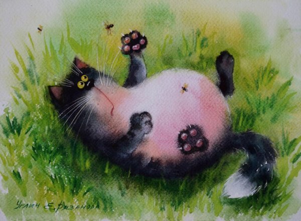 Коты художницы Екатерины Рязановой