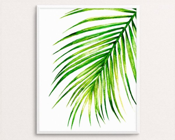 Пальмовые листья акварель