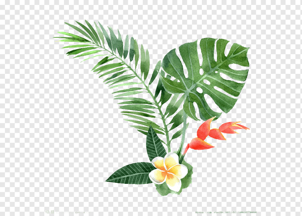 Тропические листья и цветы