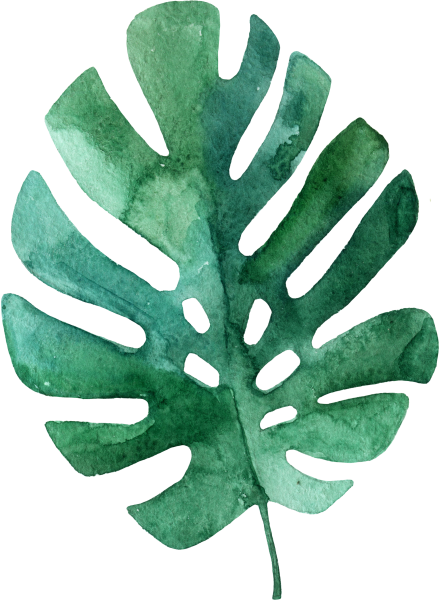 Листья пальмы акварель