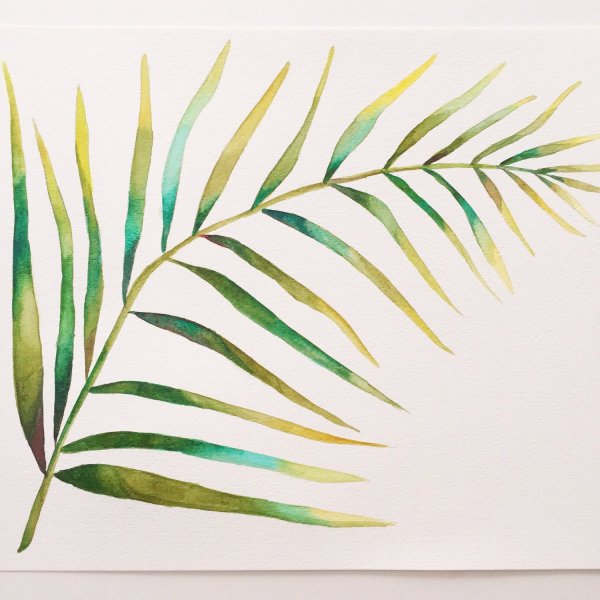 Пальмовые листья акварель