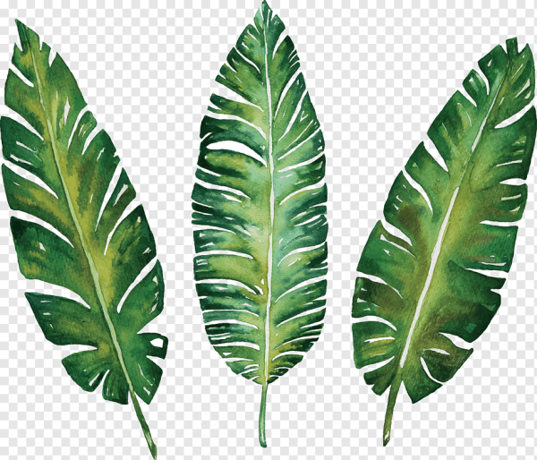 Акварельные тропические листья