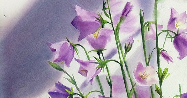 Колокольчики Ботаническая акварель