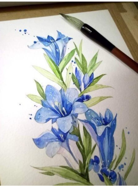 Колокольчики Ботаническая акварель