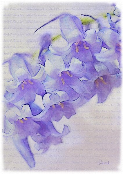 Весенние акварели Malgorzata Szczecinska