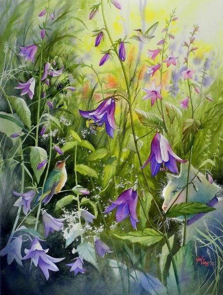 Ботанические иллюстрации колокольчик персиколистный