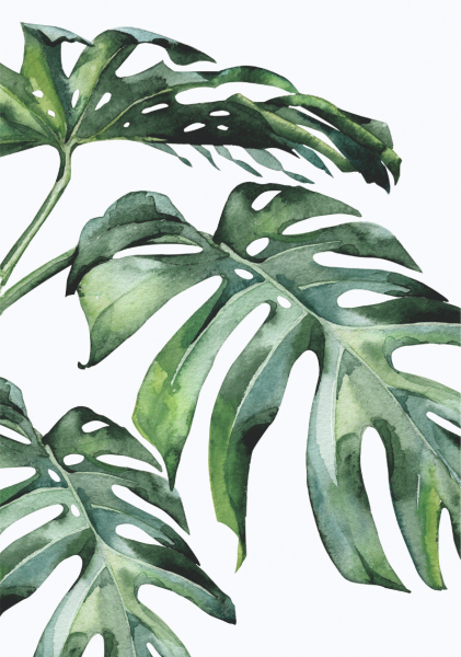 Тропические листья акварелью