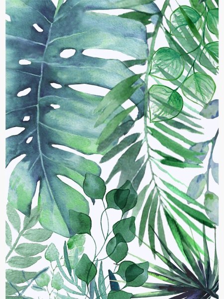 Монстера Пальма тропики листья акварель