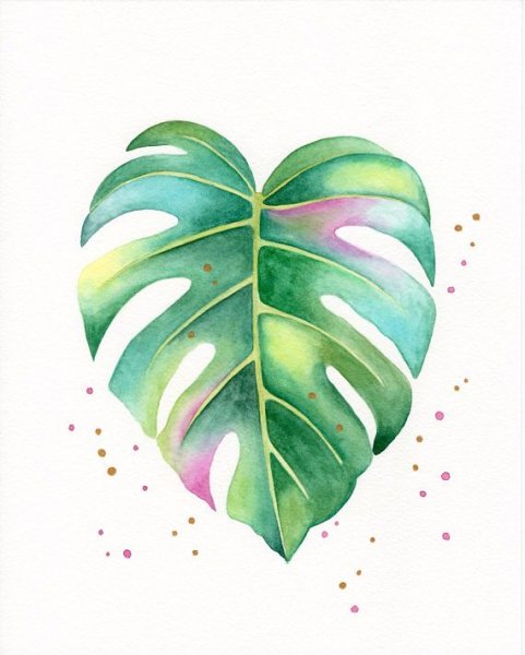 Лист монстеры акварель