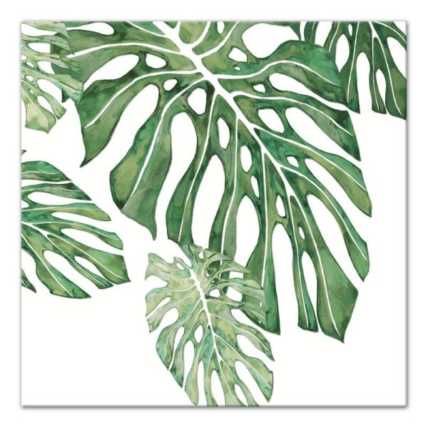 Листья монстеры живопись