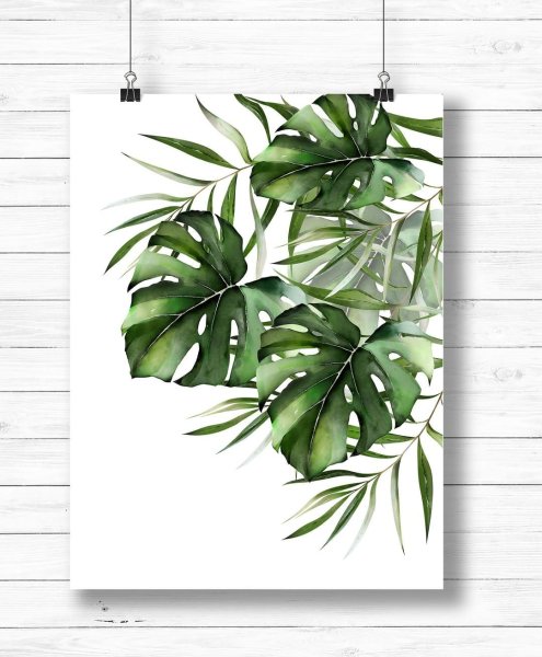 Листья монстеры маркерами скетчинг