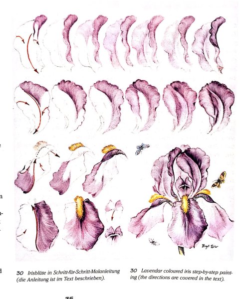 Цветы рисунок акварелью поэтапно