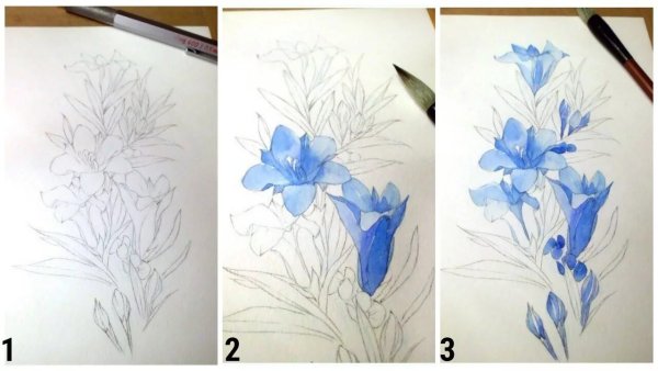 Рисунок акварелью пошагово