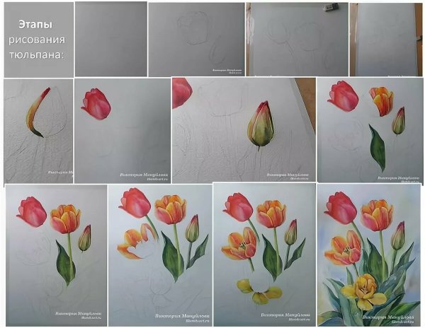 Пошаговое рисование цветов акварелью