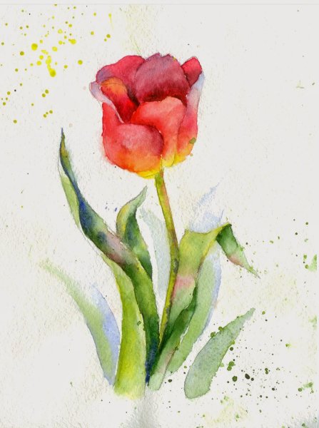 Рисование акварелью для начинающих цветы